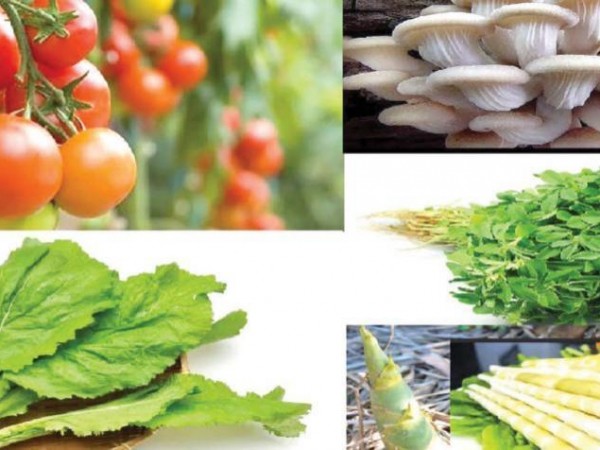 यस्तो छ, आज तरकारी र फलफूलको बजार मुल्य 