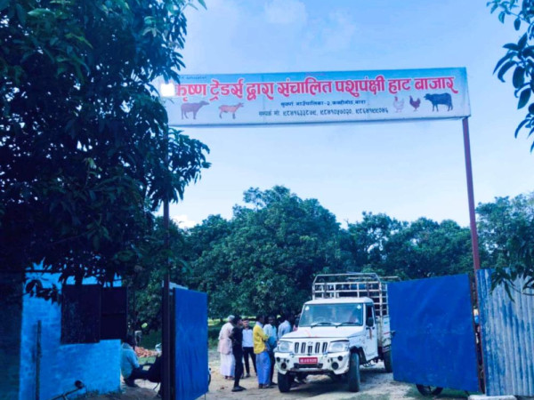 बाराको कवहीगोठमा दशैं लक्षित पशुपंक्षी हाटबजार लाग्दै