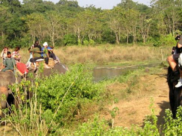 चितवन राष्ट्रिय निकुञ्जमा पर्यटकको संख्या घटे  