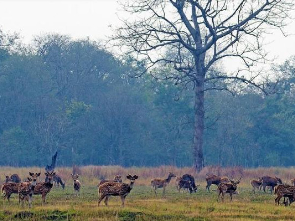 शुक्लाफाँटामा भ्रमण गर्ने नेचर गाइड पर्यटकलाई शुल्क नलाग्ने